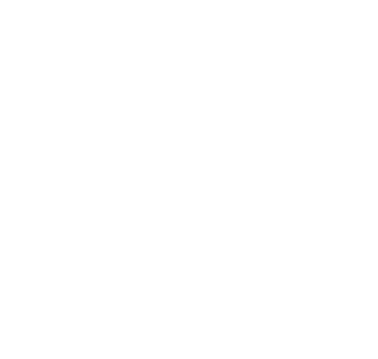 C Ici L Épicurie - restaurant BONDIGOUX